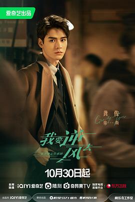 第二次二十岁电视剧全部免费